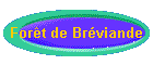 Fort de Brviande