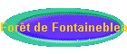 Fort de Fontainebleau